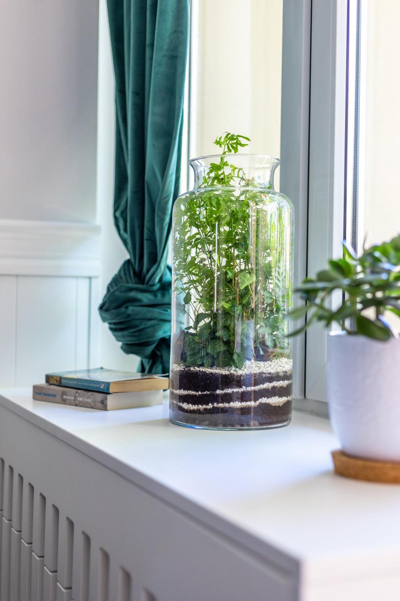 Swidnicka Deluxe Suite Wrocław Eksteriør billede